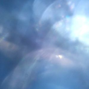 Meet your Posher, Maia